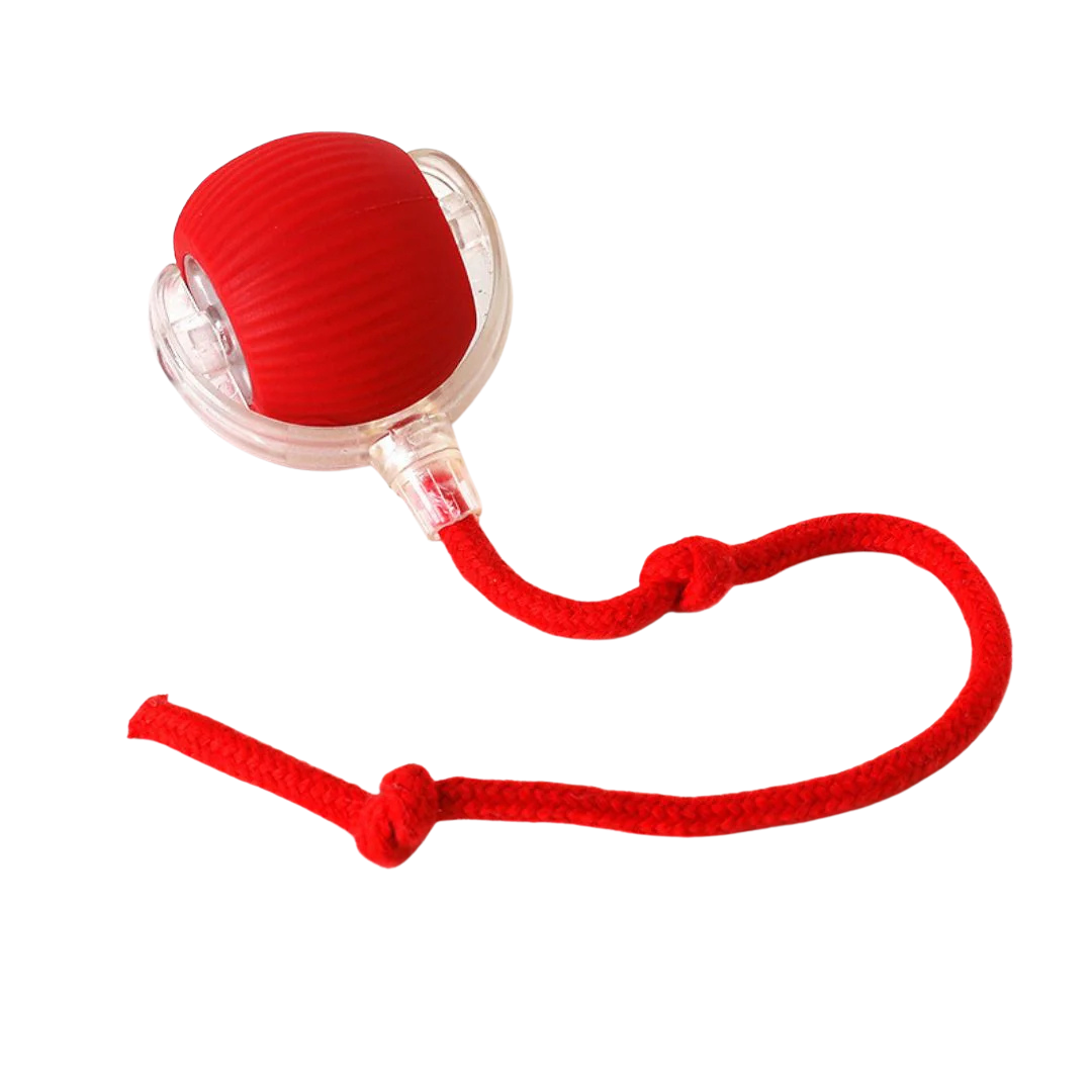 Interaktiver Hundespielball mit Beweglichem Schwanz