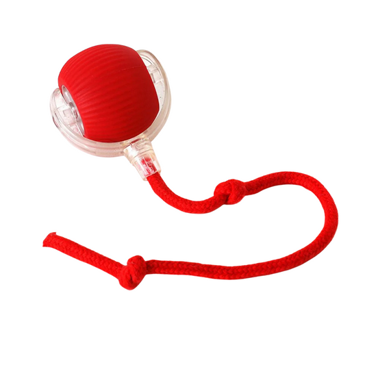 Interaktiver Hundespielball mit Beweglichem Schwanz