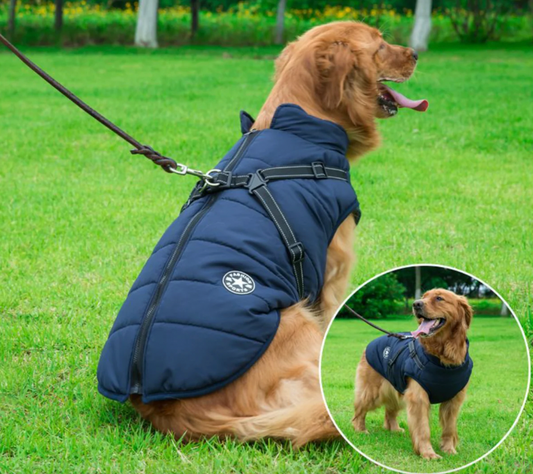 Wasserabweisende Hunde Winterjacke inkl. Geschirr