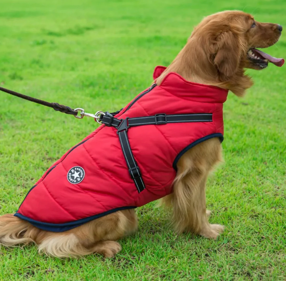 Wasserabweisende Hunde Winterjacke inkl. Geschirr
